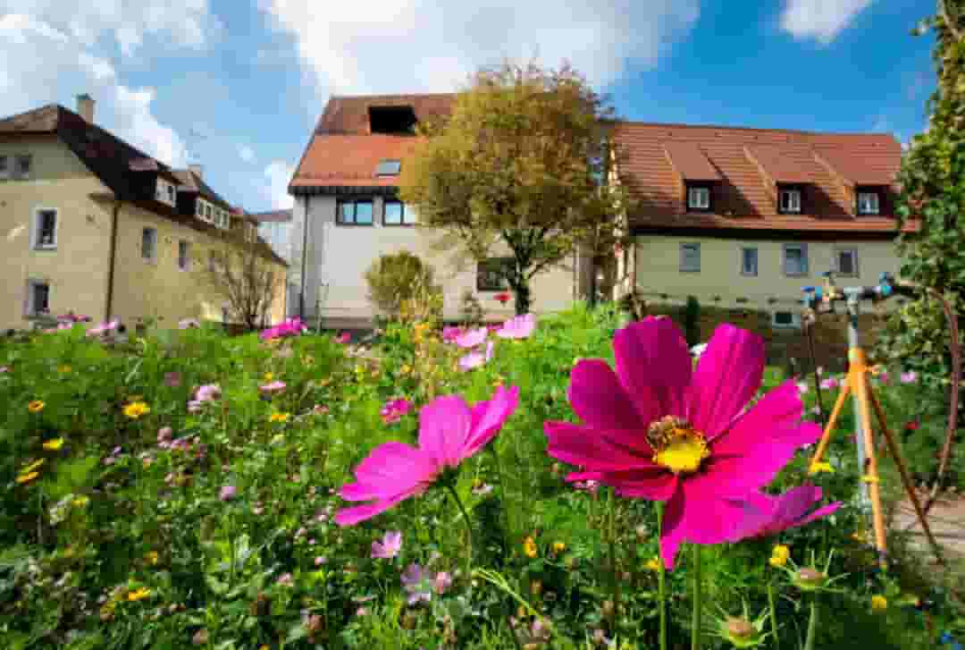 Standup Republic - event